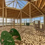 Отель Ifa Fehmarn & Ferien-centrum 3*