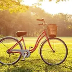 Отель Ifa Fehmarn & Ferien-centrum 3*